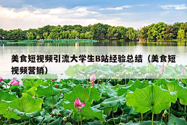 美食短视频引流大学生B站经验总结（美食短视频营销）