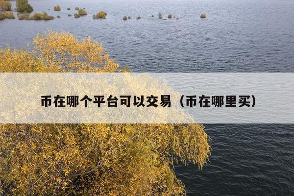 币在哪个平台可以交易(币在哪里买)