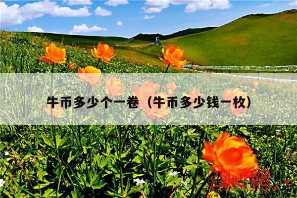 牛币多少个一卷（牛币多少钱一枚）