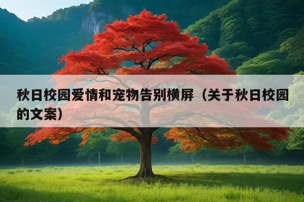 秋日校园爱情和宠物告别横屏（关于秋日校园的文案）