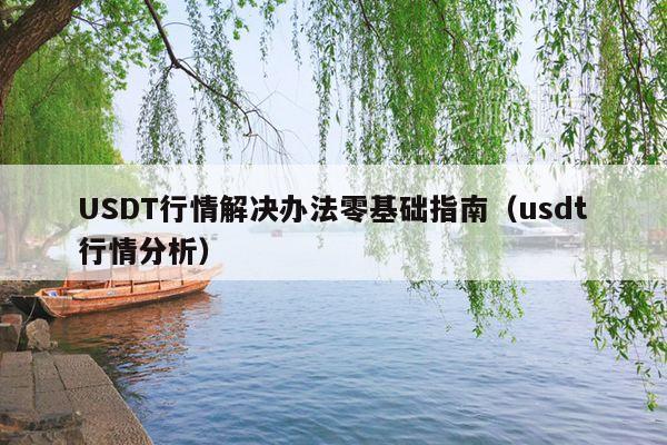 USDT行情解决办法零基础指南(usdt行情分析)