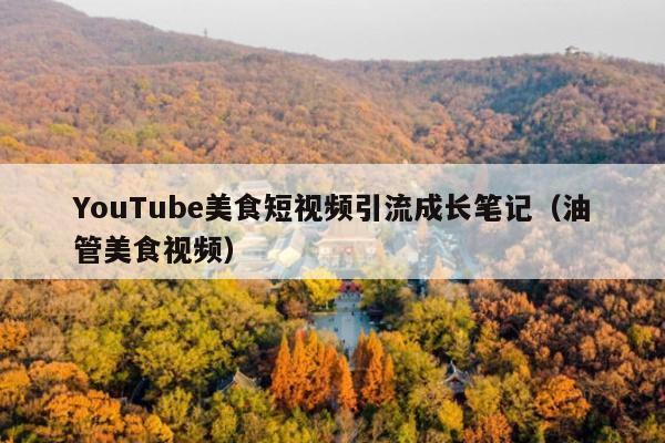 YouTube美食短视频引流成长笔记(油管美食视频)