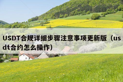 USDT合规详细步骤注意事项更新版(usdt合约怎么操作)