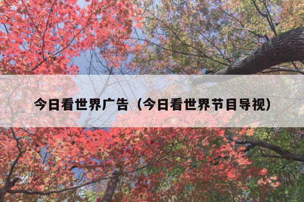 今日看世界广告(今日看世界节目导视)