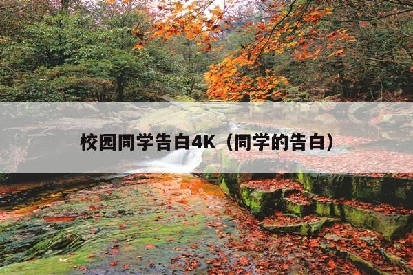 校园同学告白4K(同学的告白)