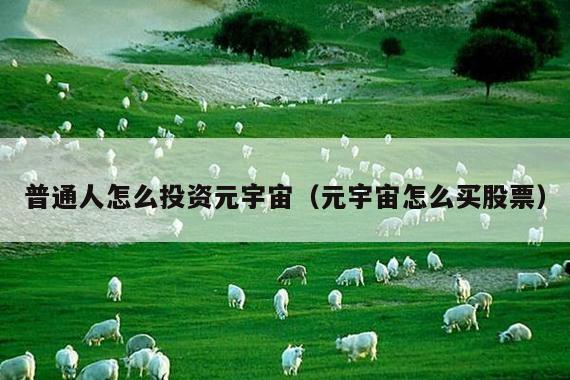 普通人怎么投资元宇宙(元宇宙怎么买股票)