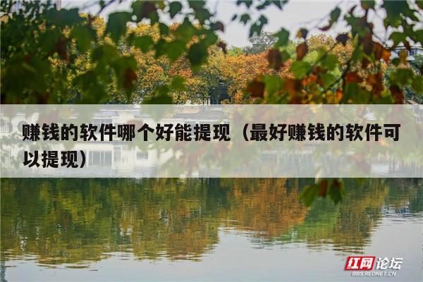 赚钱的软件哪个好能提现(最好赚钱的软件可以提现)
