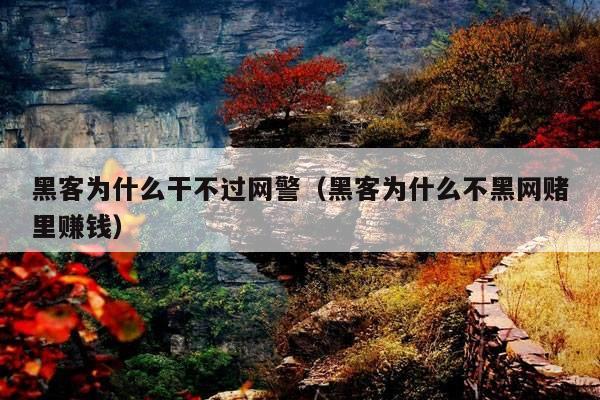黑客为什么干不过网警(黑客为什么不黑网赌里赚钱)