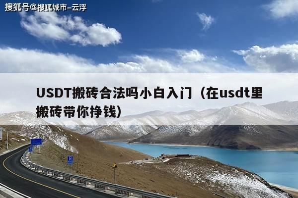 USDT搬砖合法吗小白入门(在usdt里搬砖带你挣钱)