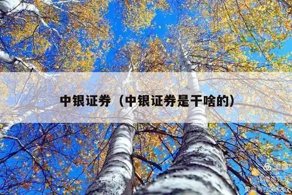 中银证券(中银证券是干啥的)