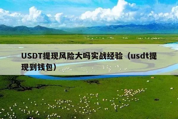 USDT提现风险大吗实战经验(usdt提现到钱包)
