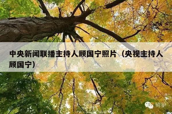 中央新闻联播主持人顾国宁照片(央视主持人顾国宁)