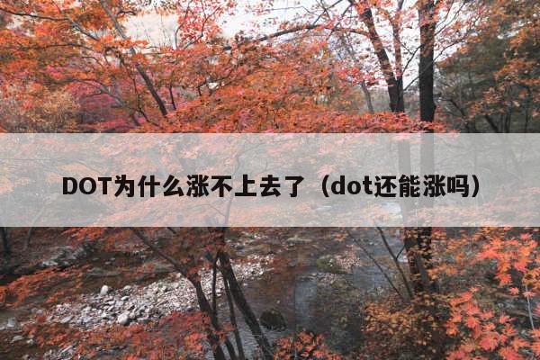 DOT为什么涨不上去了(dot还能涨吗)