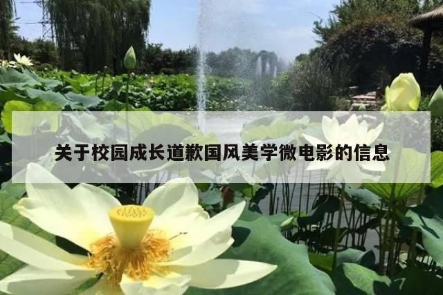 关于校园成长道歉国风美学微电影的信息
