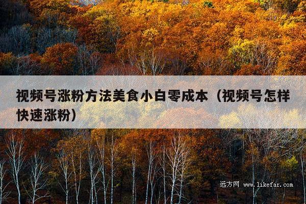 视频号涨粉方法美食小白零成本(视频号怎样快速涨粉)
