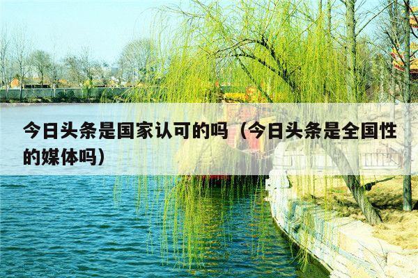 今日头条是国家认可的吗(今日头条是全国性的媒体吗)