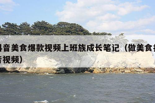 抖音美食爆款视频上班族成长笔记(做美食抖音视频)