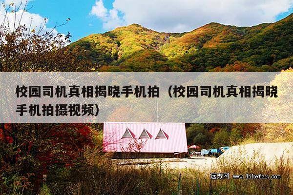校园司机真相揭晓手机拍(校园司机真相揭晓手机拍摄视频)