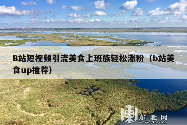 B站短视频引流美食上班族轻松涨粉(b站美食up推荐)