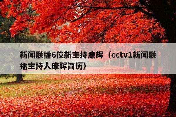 新闻联播6位新主持康辉(cctv1新闻联播主持人康辉简历)