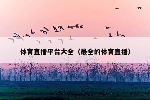体育直播平台大全(最全的体育直播)