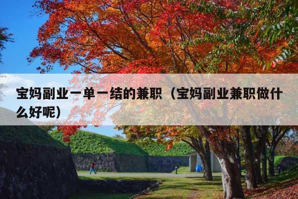 宝妈副业一单一结的兼职(宝妈副业兼职做什么好呢)