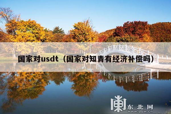 国家对usdt(国家对知青有经济补偿吗)