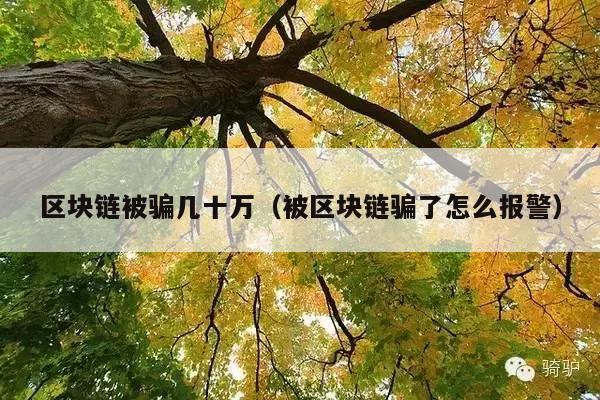 区块链被骗几十万(被区块链骗了怎么报警)