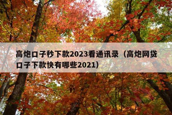 高炮口子秒下款2023看通讯录(高炮网贷口子下款快有哪些2021)