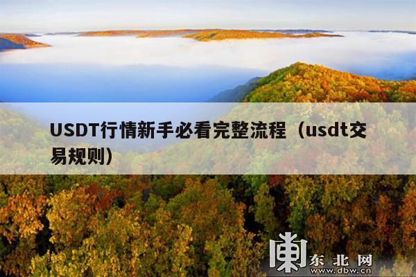 USDT行情新手必看完整流程(usdt交易规则)
