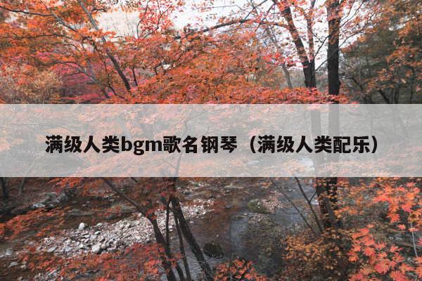 满级人类bgm歌名钢琴(满级人类配乐)