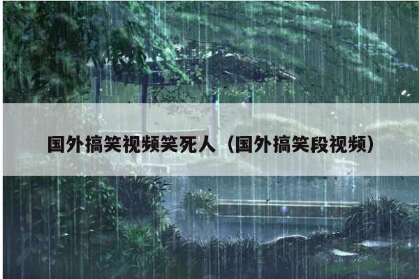 国外搞笑视频笑死人(国外搞笑段视频)