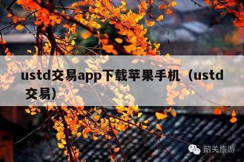 ustd交易app下载苹果手机(ustd 交易)