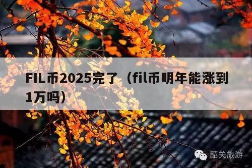 FIL币2025完了(fil币明年能涨到1万吗)