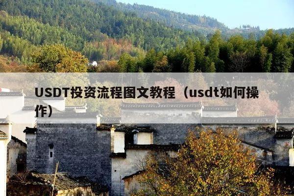 USDT投资流程图文教程(usdt如何操作)