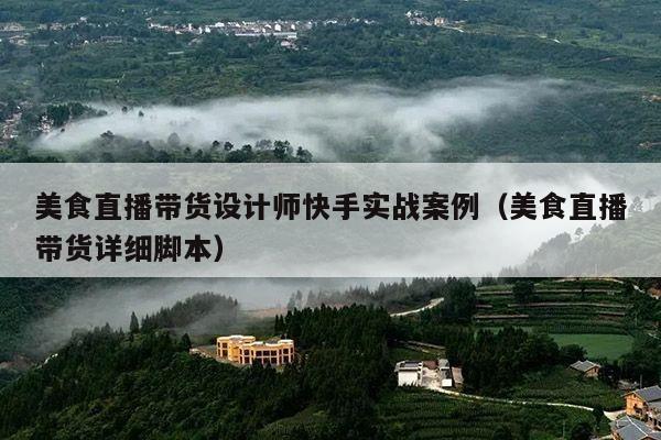 美食直播带货设计师快手实战案例(美食直播带货详细脚本)