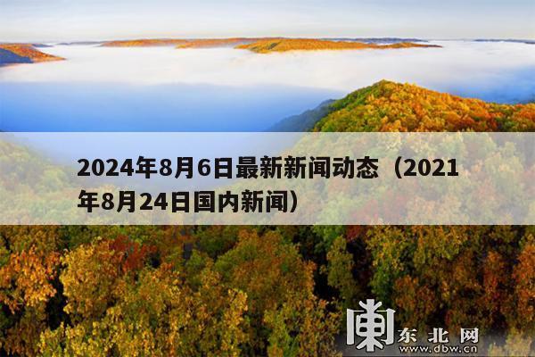 2024年8月6日最新新闻动态(2021年8月24日国内新闻)