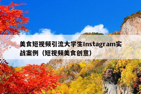 美食短视频引流大学生Instagram实战案例(短视频美食创意)