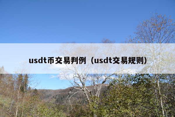 usdt币交易判例(usdt交易规则)