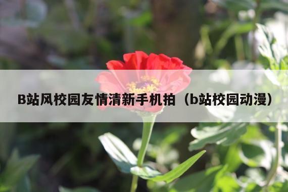 B站风校园友情清新手机拍(b站校园动漫)