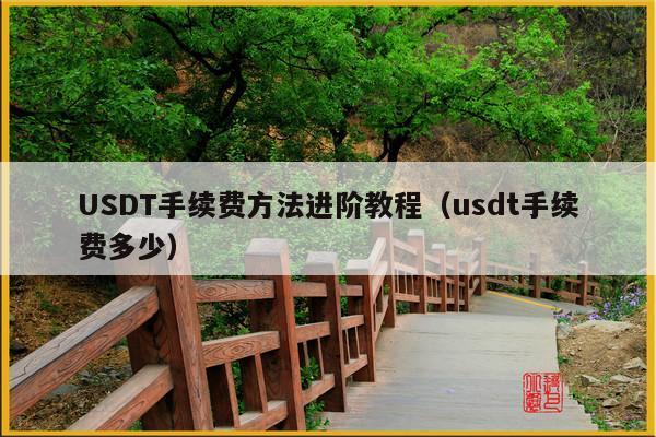 USDT手续费方法进阶教程(usdt手续费多少)
