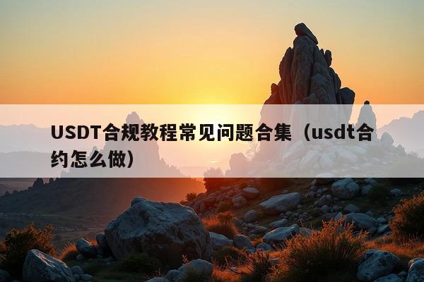 USDT合规教程常见问题合集(usdt合约怎么做)