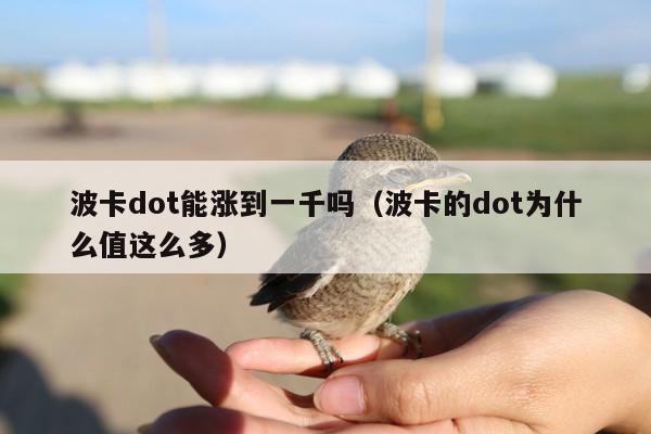 波卡dot能涨到一千吗(波卡的dot为什么值这么多)