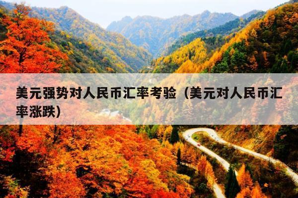 美元强势对人民币汇率考验(美元对人民币汇率涨跌)