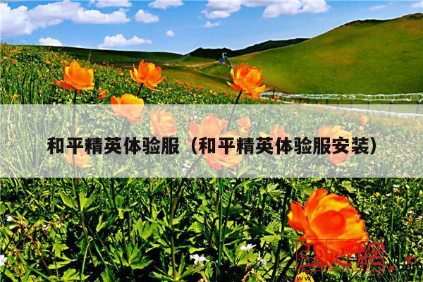 和平精英体验服(和平精英体验服安装)