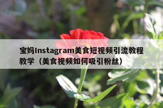 宝妈Instagram美食短视频引流教程教学(美食视频如何吸引粉丝)
