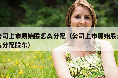 公司上市原始股怎么分配(公司上市原始股怎么分配股东)