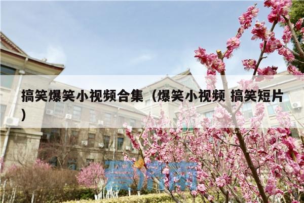 搞笑爆笑小视频合集(爆笑小视频 搞笑短片)