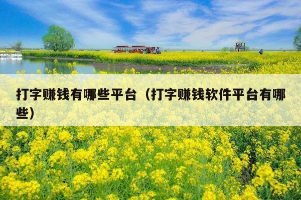打字赚钱有哪些平台(打字赚钱软件平台有哪些)