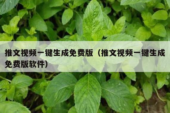 推文视频一键生成免费版(推文视频一键生成免费版软件)